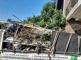 Best Moving and Downsizing Cleanouts  in Rifle, CO
